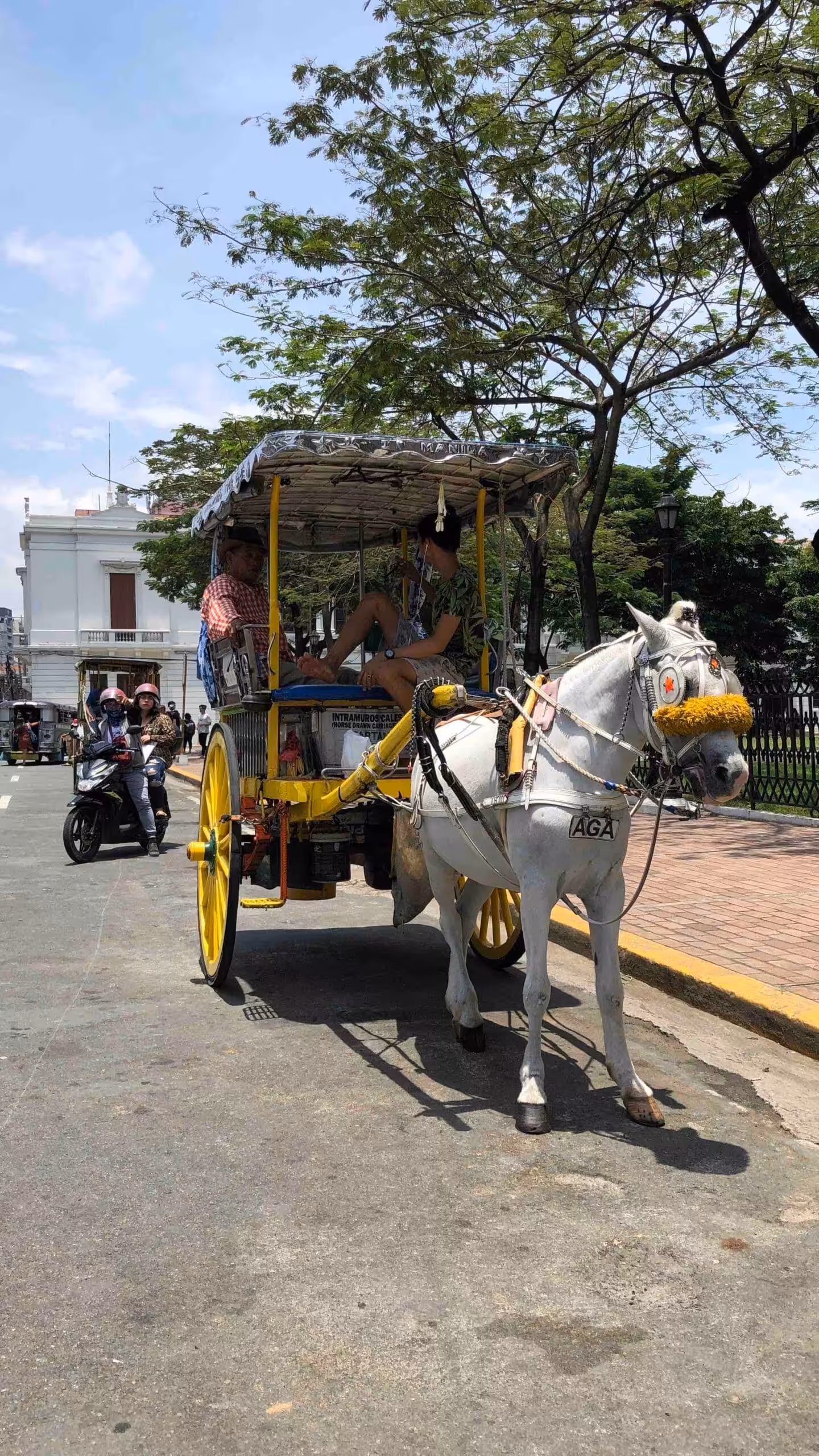 Horse-drawn carriage in Manila's historic streets, symbolizing small-group cultural travel experiences