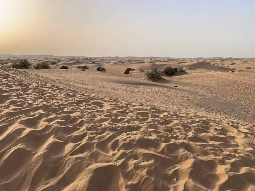 Vast sand dunes in the Dubai desert under a clear blue sky