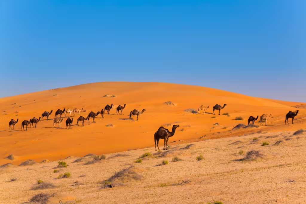 Rub al-Khali desert, empty quarter, Liwa desert, United Arab Emirates