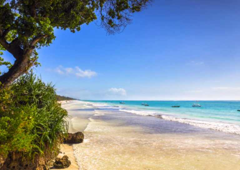 Tropical beach along the Kenyan coast with white sand and turquoise ocean water