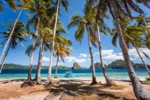Palm trees framing a tropical beach with turquoise water and boat in Palawan, Philippines