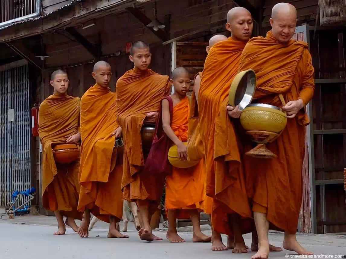 Buddhist monks in orange robes walking in line during morning alms ritual in Southeast Asia