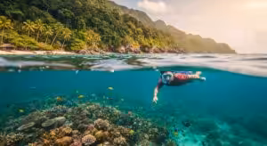 Snorkeler swimming above a colorful coral reef near a tropical beach with palm trees
