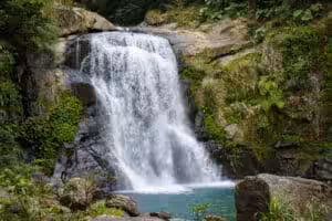 Tamaraw Falls waterfall surrounded by lush jungle greenery in Mindoro Philippines