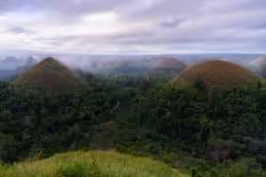 Moody elevated view of the Chocolate Hills rising from dense tropical jungle with morning mist drifting between the cone-shaped limestone hills under an overcast sky, Bohol, Philippines