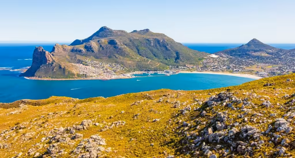 Panoramic view of Hout Bay harbour and turquoise bay surrounded by dramatic mountains and fynbos-covered slopes, seen from Chapman's Peak, Cape Town, South Africa