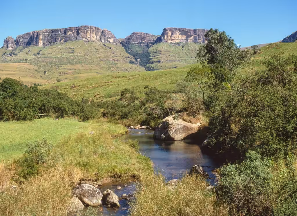 A clear mountain stream flowing through a lush green valley with sandstone cliff formations of the Amphitheatre in the background, Royal Natal National Park, Drakensberg, South Africa
