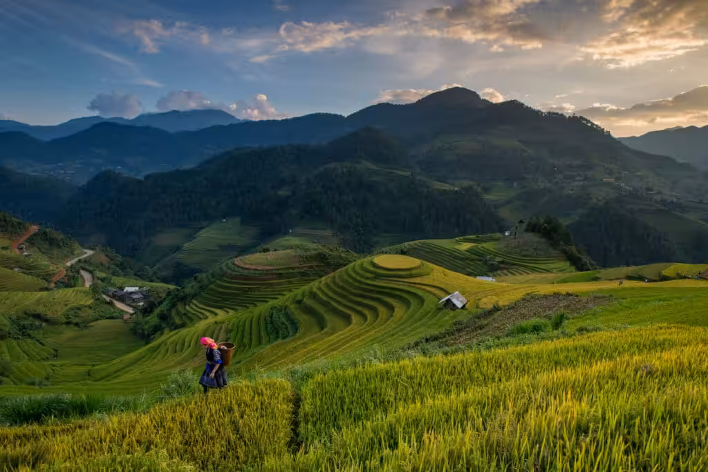 Hmong woman in traditional dress walking through rice terraces at sunset, Mu Cang Chai, Vietnam