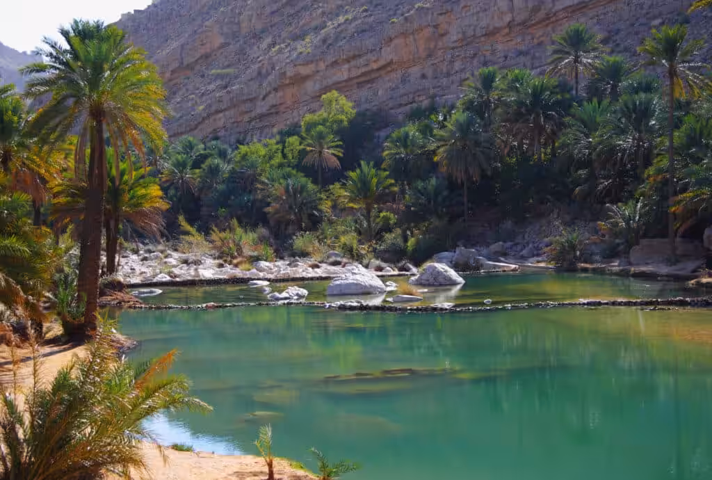 Emerald pool surrounded by palm trees at Wadi Bani Khalid oasis near Sur, Oman