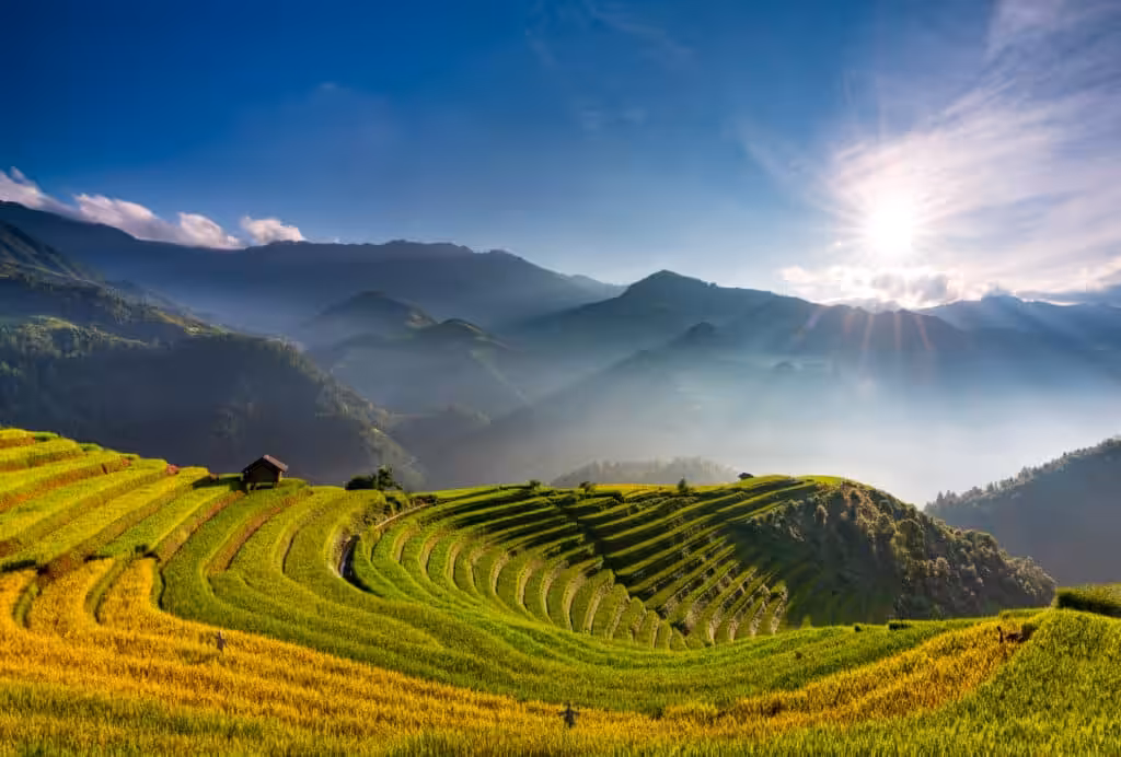 Aerial view of green rice terraces winding through the mountains of northern Vietnam
