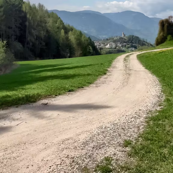 Hiking path with trees in the Dolomites near Kastelruth, with majestic mountains in the background.